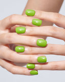 Kiwi(Handmade)