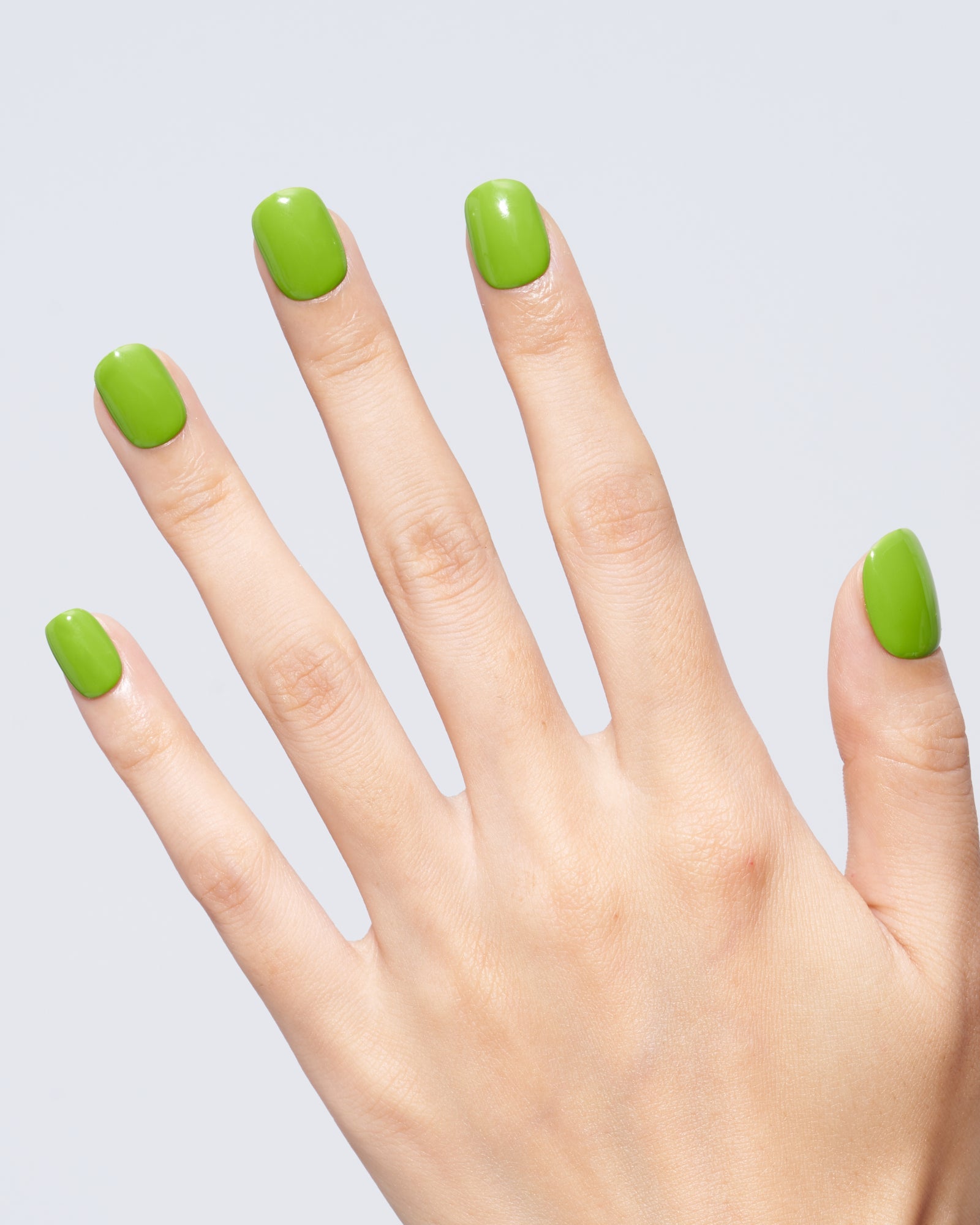 Kiwi(Handmade)