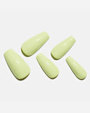 Fresh Leaf (Handmade)