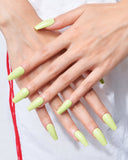 Fresh Leaf (Handmade)