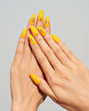 Solar Disk (Handmade)