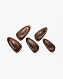 Cat Eye/ Dry Leaves (Handmade)