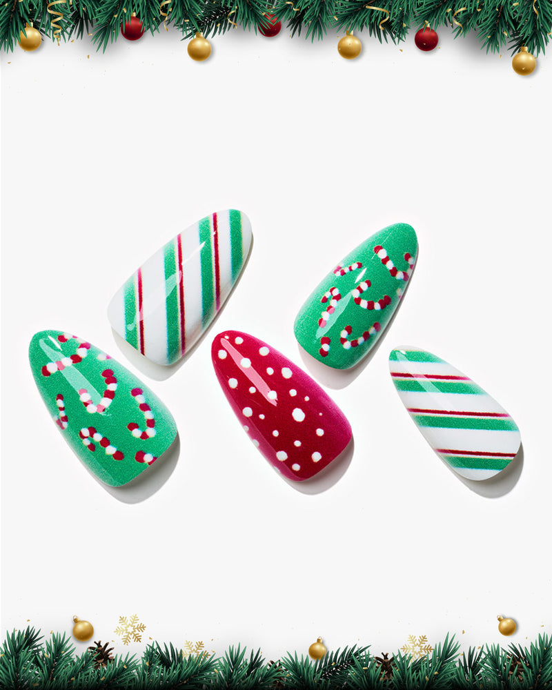 Christmas Street View/Almond